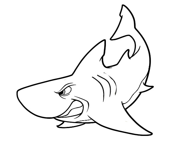 Dibujo Tiburón enfadado pintado por 5556565656