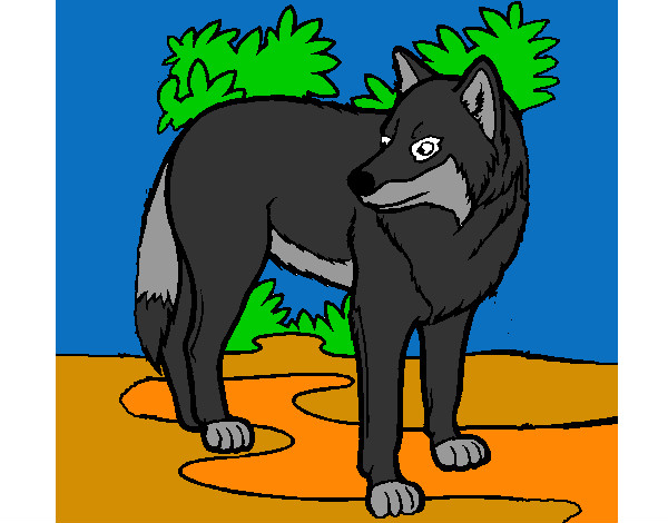 Dibujo Lobo pintado por elevit