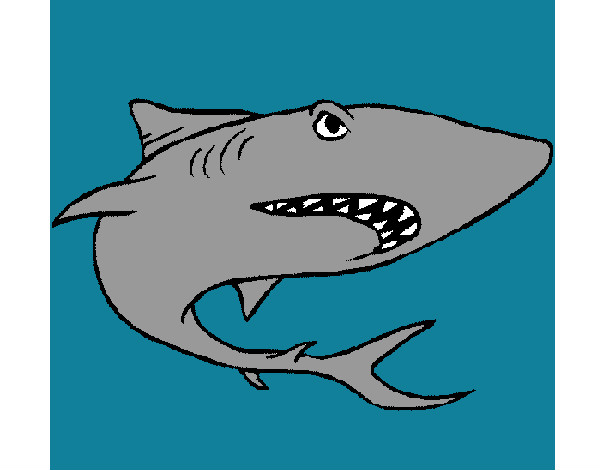 Dibujo Tiburón pintado por oded