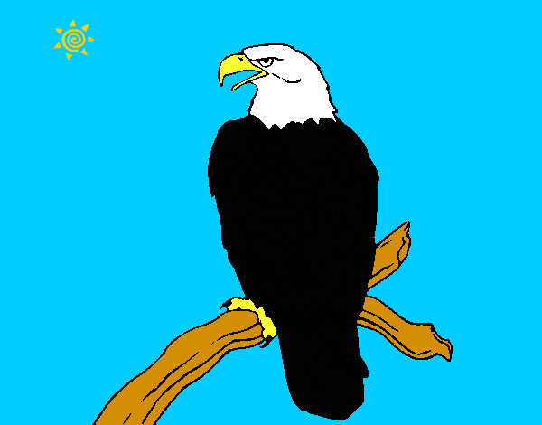 Dibujo Águila en una rama pintado por 21-09Lulu