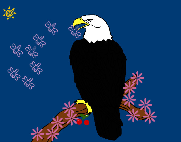 Dibujo Águila en una rama pintado por xDVaLe