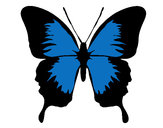 Dibujo Mariposa con alas negras pintado por Romi22