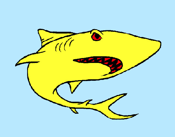 Dibujo Tiburón pintado por thundder