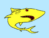 Dibujo Tiburón pintado por thundder