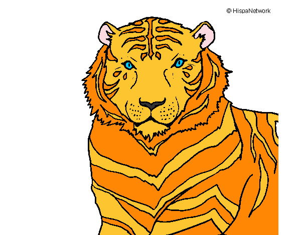Dibujo Tigre 3 pintado por CARLYGUAY
