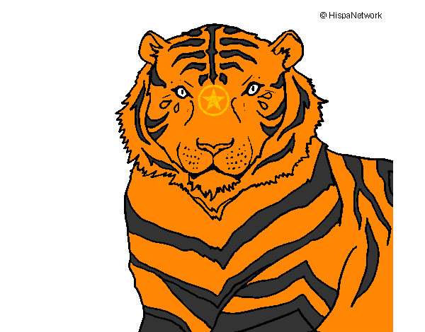 Dibujo Tigre 3 pintado por jogeleon