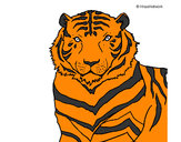 Dibujo Tigre 3 pintado por rubi123