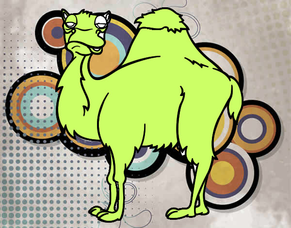 Dibujo Camello aburrido pintado por VITOM