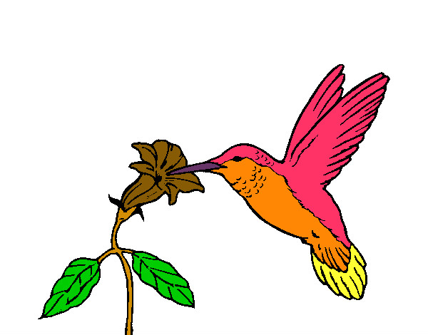 Dibujo Colibrí y una flor pintado por Juliab