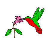 Dibujo Colibrí y una flor pintado por leslit