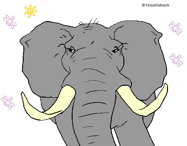 Dibujo Elefante africano pintado por samuelag