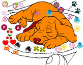 Dibujo Perro durmiendo pintado por elihu