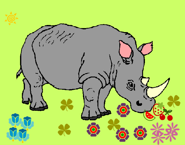 Dibujo Rinoceronte 3 pintado por samuelag