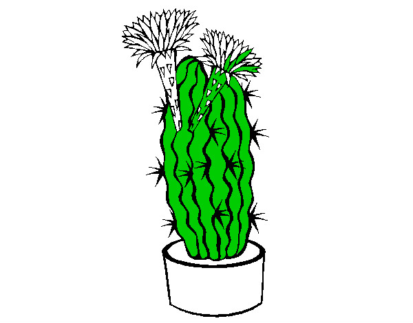 Dibujo Cactus con flores pintado por KevinF