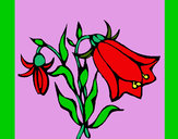 Dibujo Flores silvestres 1 pintado por EMILLYALL