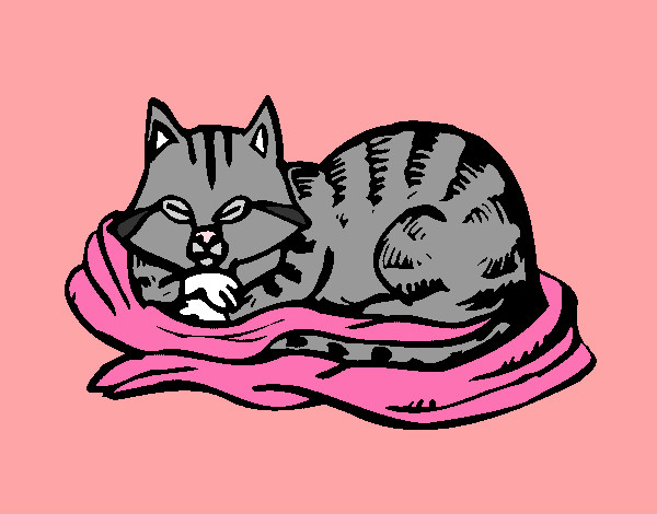 Dibujo Gato en su cama pintado por amaliasoli