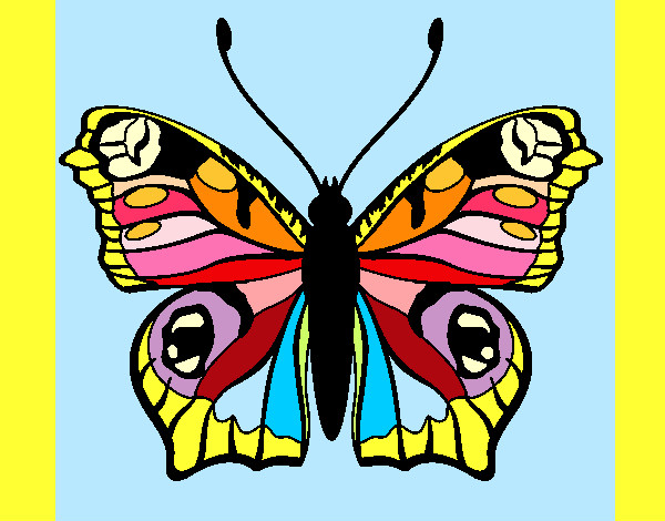 Dibujo Mariposa 20 pintado por valeria14