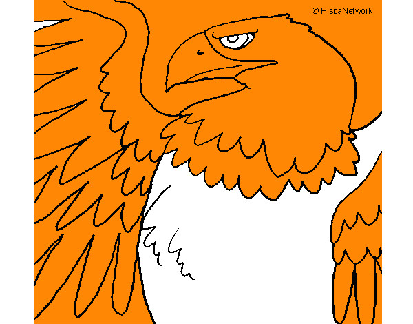 Dibujo Águila Imperial Romana pintado por Martin05