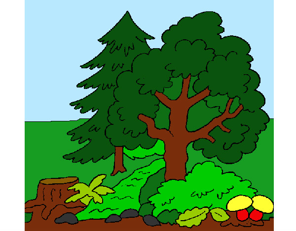Dibujo Bosque 1 pintado por chiguiline