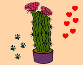 Dibujo Cactus con flores pintado por marce93