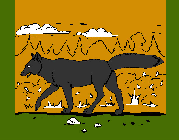 Dibujo Coyote pintado por frankeli