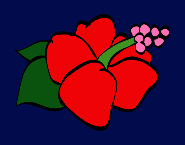 Flor de lagunaria