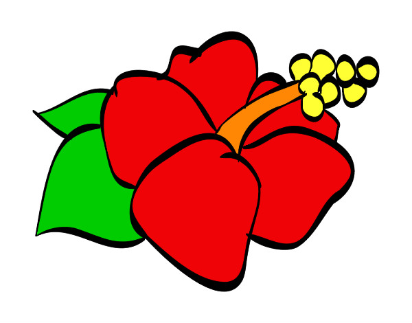 Dibujo Flor de lagunaria pintado por javive0410