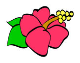 Dibujo Flor de lagunaria pintado por marce93