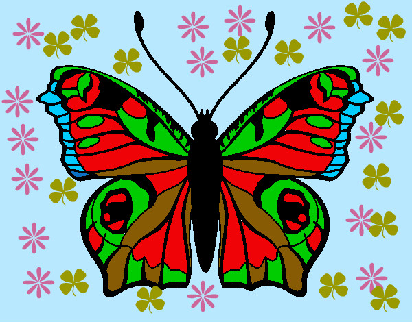 Mariposa 20