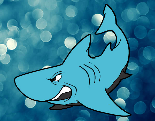 Dibujo Tiburón enfadado pintado por roceta22