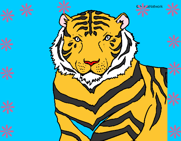 Dibujo Tigre 3 pintado por DAMAVI