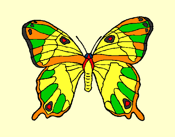 Dibujo Mariposa silvestre pintado por ketita