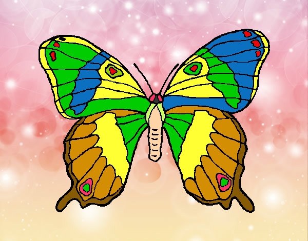 Dibujo Mariposa silvestre pintado por yoshua 