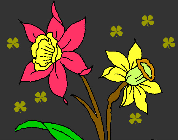 Dibujo Orquídea pintado por yoshua 
