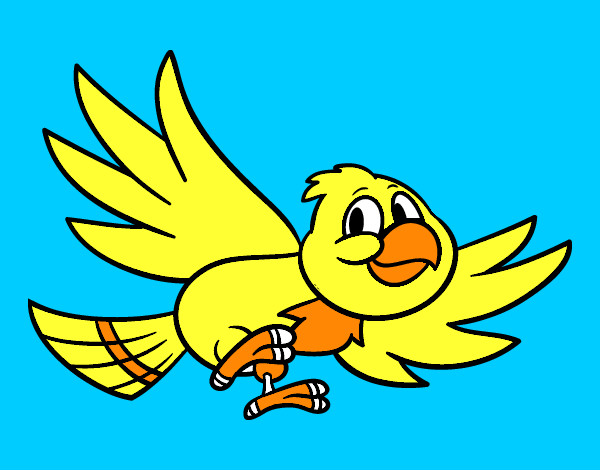 Dibujo Pájaro volando pintado por sopa1811