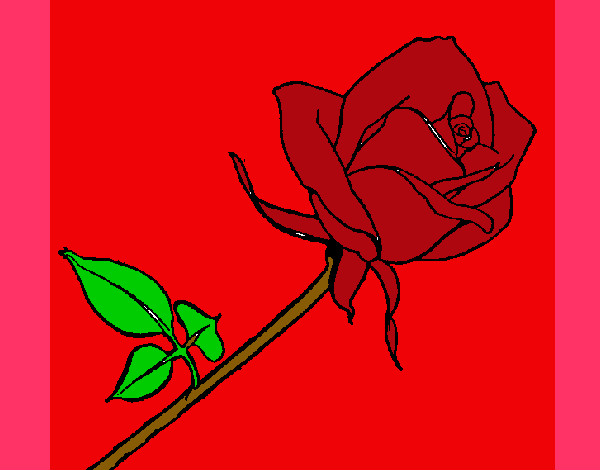 Dibujo Rosa pintado por lucialares