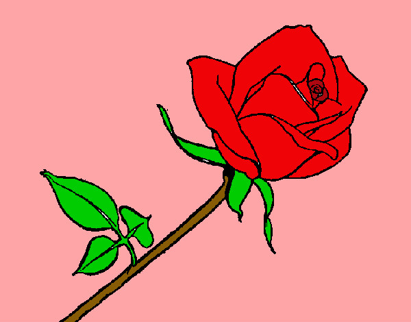 Dibujo Rosa pintado por yoshua 
