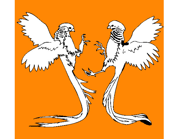 Dibujo Aves con largas colas pintado por grequint