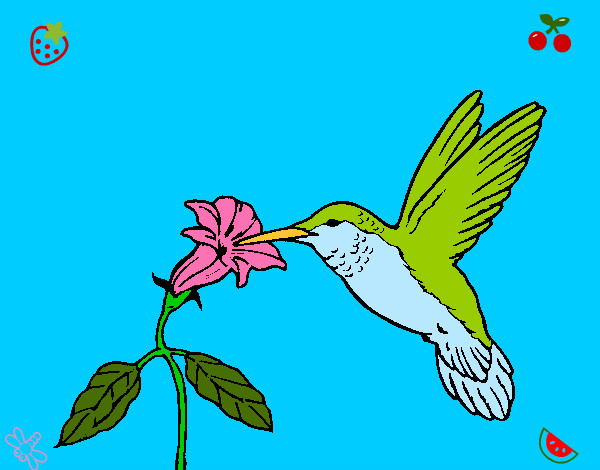 Dibujo Colibrí y una flor pintado por MORI574