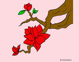 Dibujo Flor de almendro pintado por javier123