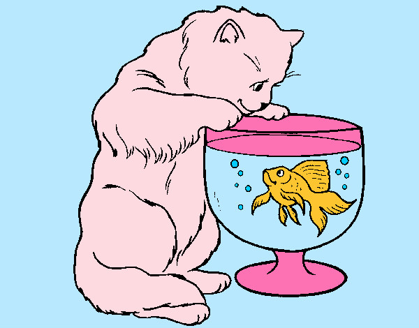 Dibujo Gato mirando al pez pintado por wiii
