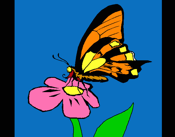 Dibujo Mariposa en flor pintado por chiguiline