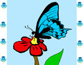 Dibujo Mariposa en una flor pintado por yeni_pao