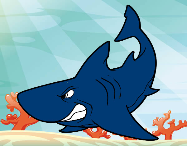 Dibujo Tiburón enfadado pintado por 122334455