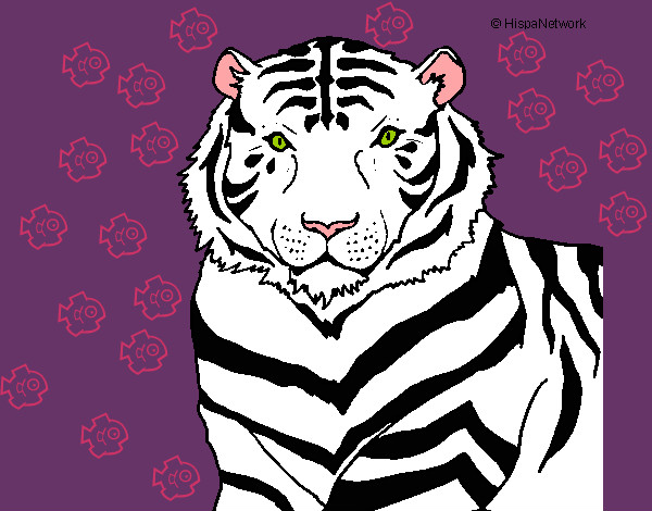 Dibujo Tigre 3 pintado por mariana233