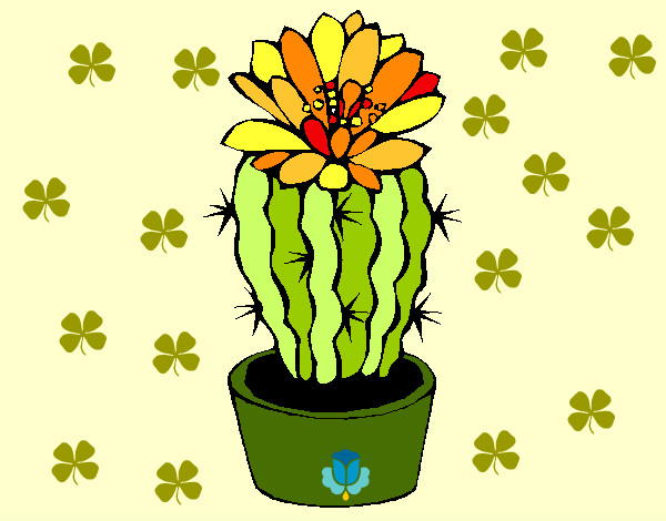 Dibujo Cactus con flor pintado por ardnas