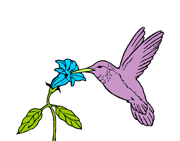 Dibujo Colibrí y una flor pintado por marcia7