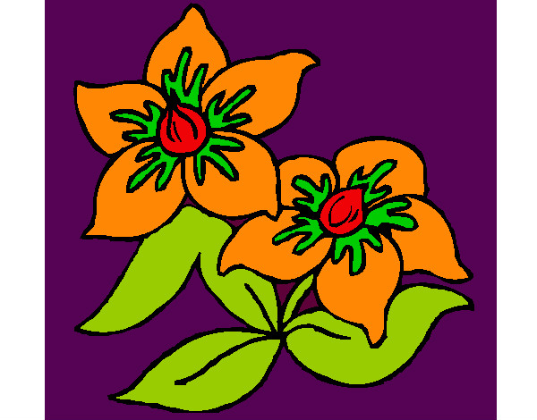 Dibujo Flores 3 pintado por chiguiline