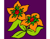 Dibujo Flores 3 pintado por chiguiline