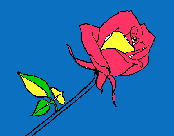 Dibujo Rosa pintado por Mafer08